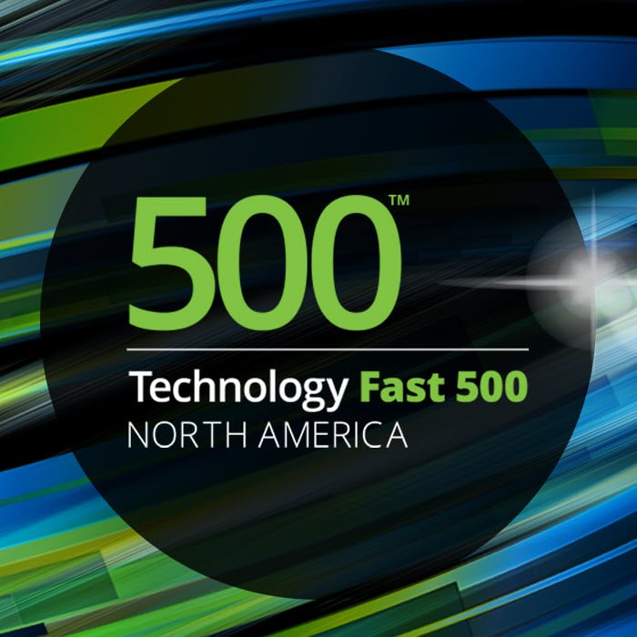Deloitte’s 2019 Technology Fast 500™